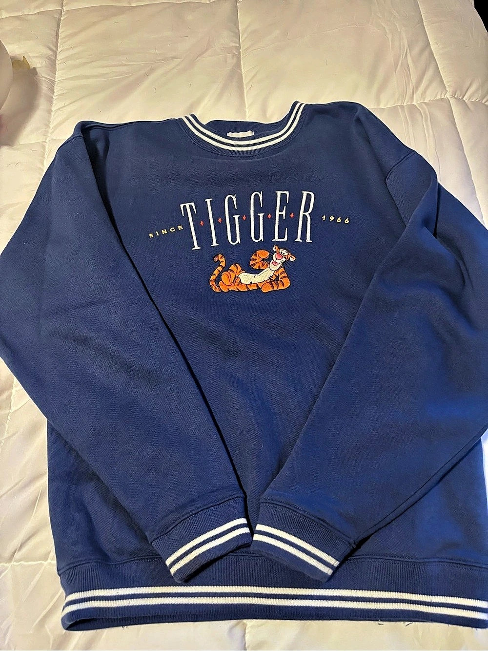 Disney Winnie the Pooh Tigger Blue Graphic Sweatshirt Size Medium Like New
